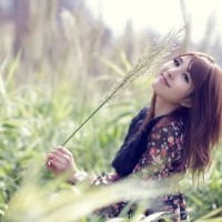 青草茂盛
