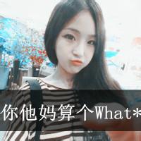 你他妈算个What