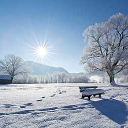 浪漫雪景