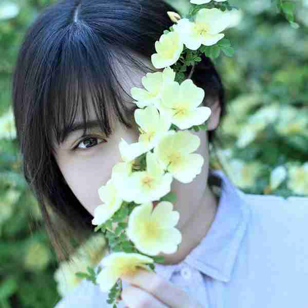 蔷薇仙子