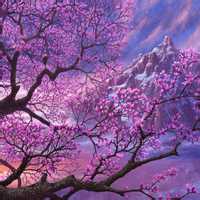 繁花似锦 繁花似锦