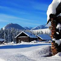 冬日东北雪景