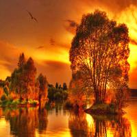 火红的落日风景