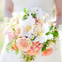 手捧花等你娶我