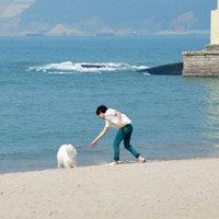 海边的微信唯美头像：格外清