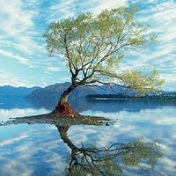 走过世界每个角落拍下的精