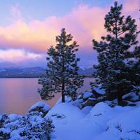 纯白雪景的头像：下起雪景