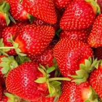 冬日好吃的草莓图片 这个季节真不错吃一口