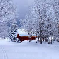 雪中的小屋风景头像图片 看雪的机会没了