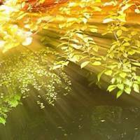 唯美微信头像 阳光明媚的日子 充满了幸福感