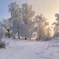 冬季雪景头像 冬季雪景图片好看的