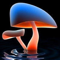 漂亮好看的各种各样微信蘑菇头像图片 色彩鲜艳 漂亮好看的各种各样微信蘑菇头像图片 色彩鲜艳