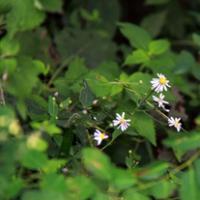 拍客分享八里沟一日游 花草蝴蝶个性头像图片