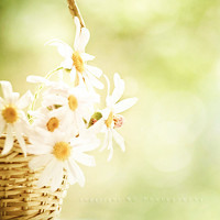 好看的微信花 带花微信 花的微信