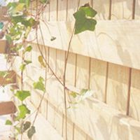 漂亮的花瓣，优美的环境非主流个性静态女生最