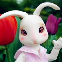 玩具兔子头像 经典玩具可爱兔子头像图片