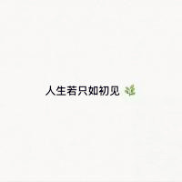 微信纯文字头像 人生若只如初见 我喜欢阳光下的