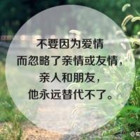 带圆形边框的文字头像 全部是有哲理的文字 句子