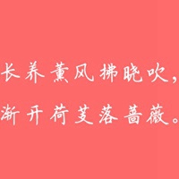 关于季节周期性变化纯文字头像 春季、夏季、秋