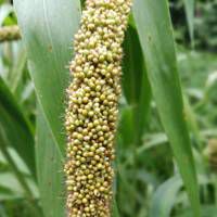 好看的头像图片 全部是自拍制作的