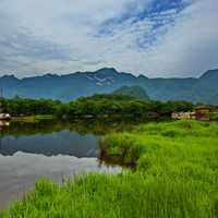 小清新绿色风景图片 神农架大九湖国家湿地公园