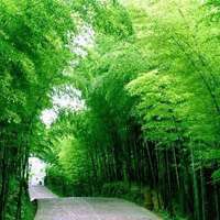 真实美丽的风景高清微信头像图片大全