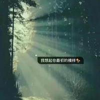 我在你看不到的天空 我在寻找我的梦 风景带字