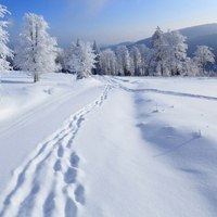 漂亮的雪景 天超来越冷了提前分享感觉一下白雪