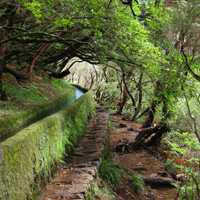 高清绿色自然风景精美微信头像图片大全