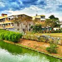 如果爱情真能不朽花儿也能长久开放