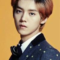 exo鹿晗头像图片 中国籍男歌手 出生于北京