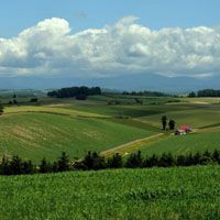 微信风景头像图片 日本北海道田野风景图片下载