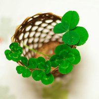 女生的最爱微信个性唯美头像图片带点温馨和浪 女生的最爱微信个性唯美头像图片带点温馨和浪