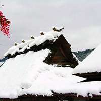 微信头像雪景图片大全