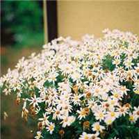 高清好看的唯美意境风景美图