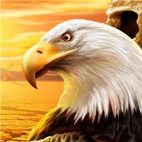 微信苍鹰头像 苍鹰展翼傲穹天