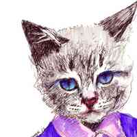 个性的微信卡通猫头像图片