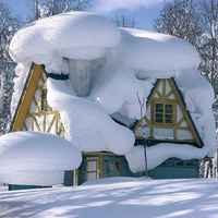 微信头像雪景图片大全