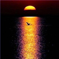 高清好看的唯美意境风景美图