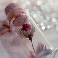 唯美好看有意境的瓶子