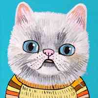 个性的微信卡通猫头像图片