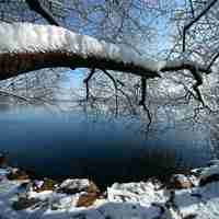 微信头像雪景图片大全