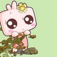 可爱的兔子图片头像