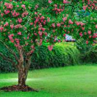 微信头像意境唯美风景 优美好看风景