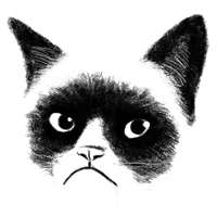 个性的微信卡通猫头像图片