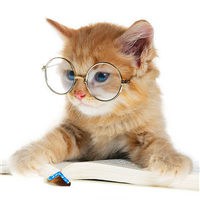 可爱猫咪看书头像 猫咪看书萌妳一脸