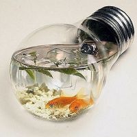 唯美好看有意境的瓶子