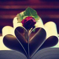 唯美书本头像图片 好看有书的微信头像