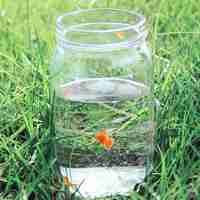 微信漂流瓶头像图片