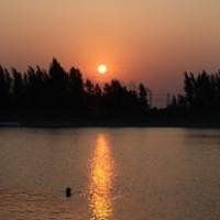 微信头像日出 日出晨景让我们一起欣赏